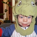 Turtle head